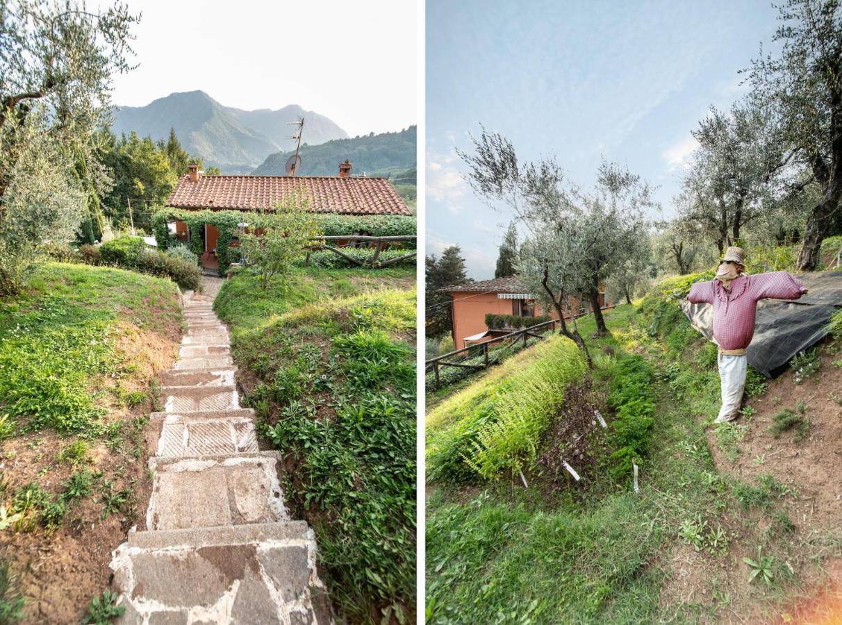 Casetta Di Butia, Gelsomino Apartment Borgo a Mozzano Luaran gambar